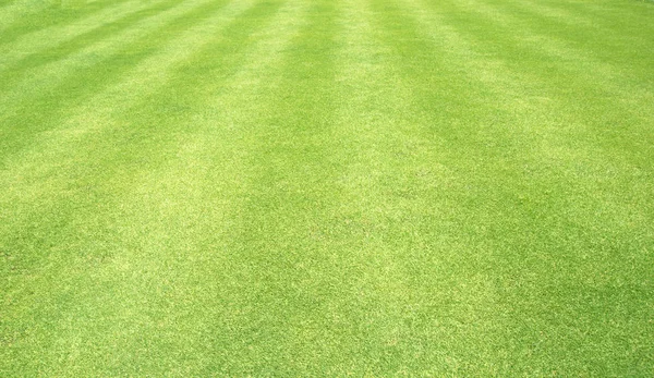 Gras achtergrond golfbanen groen gazon — Stockfoto