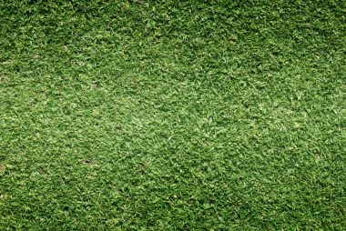 arka plan Golf sahaları yeşil çim çimen