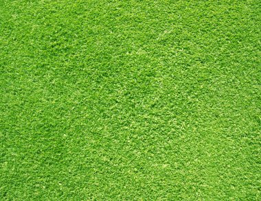 arka plan Golf sahaları yeşil çim çimen