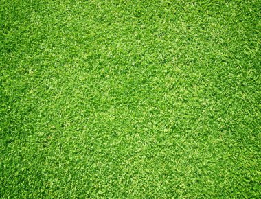 arka plan Golf sahaları yeşil çim çimen