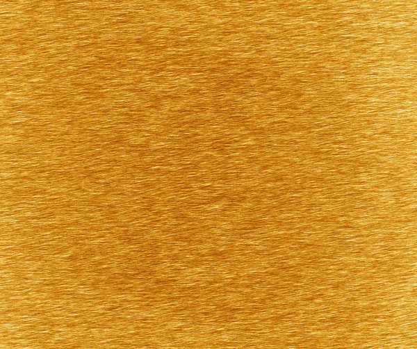 Parlak sarı yaprak altın folyo