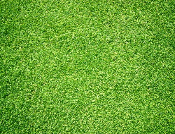arka plan Golf sahaları yeşil çim çimen
