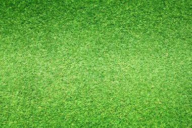 arka plan Golf sahaları yeşil çim çimen