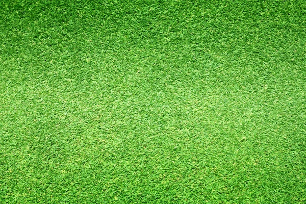 arka plan Golf sahaları yeşil çim çimen