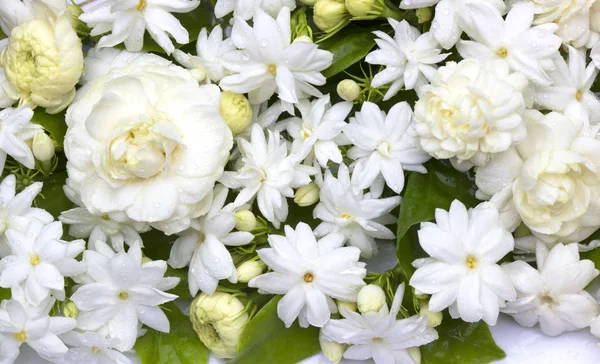 Yasemin çiçekleri ferahlatıcı