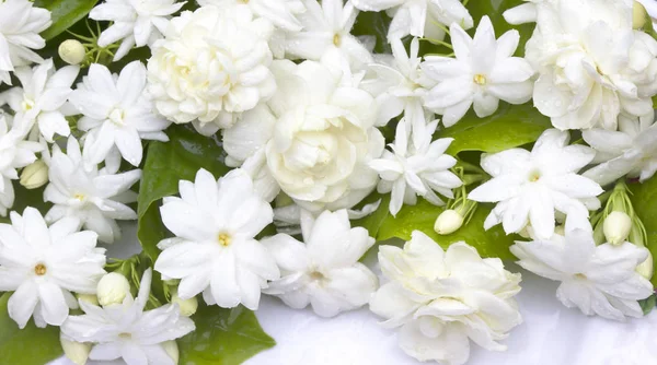 Yasemin çiçekleri ferahlatıcı