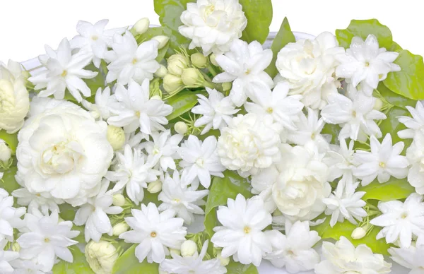 Yasemin çiçekleri ferahlatıcı