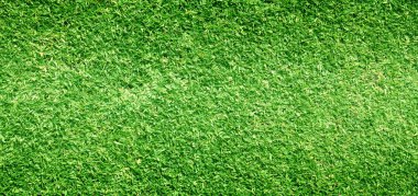 arka plan Golf sahaları yeşil çim çimen