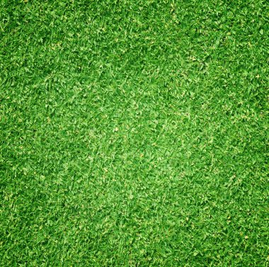 arka plan Golf sahaları yeşil çim çimen