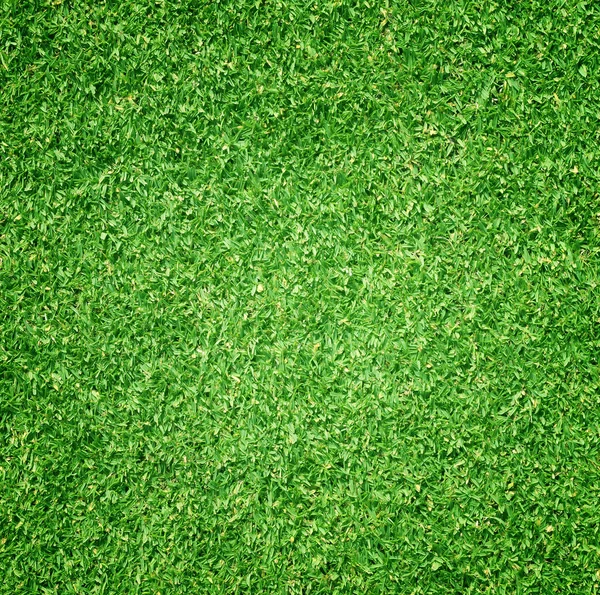 Gräs bakgrund golfbanor gröna gräsmatta — Stockfoto