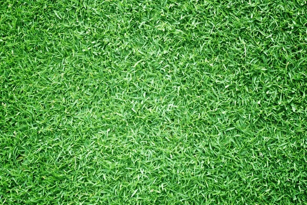 Grama fundo campos de golfe gramado verde — Fotografia de Stock