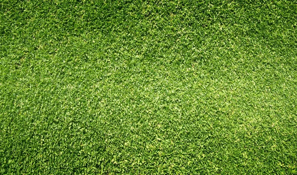 高尔夫球场绿色草坪草背景 — 图库照片