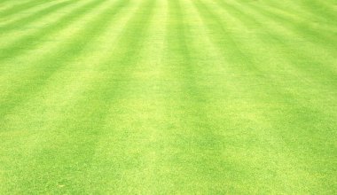 Bakkal süpermarket Satıyoruz'ın yaygın olarak