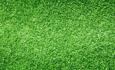 arka plan Golf sahaları yeşil çim çimen