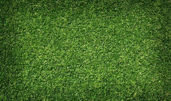 Trawa tło pola golfowe zielony trawnik — Zdjęcie stockowe