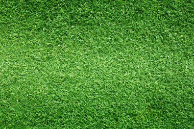 arka plan Golf sahaları yeşil çim çimen