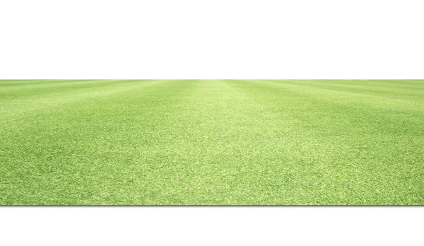 Veld / groen gras gras achtergrond — Stockfoto