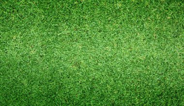 Yeşil çim doğa açık