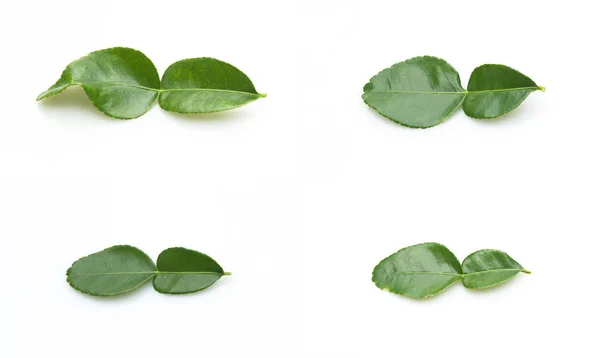 Kaffir lime leaves — Stock Photo, Image