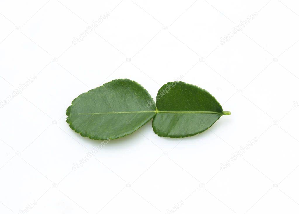 kaffir lime leaves