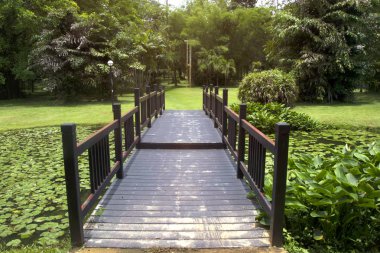 Ormanda sabah ışık ahşap yolu