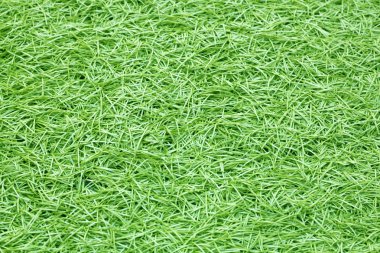 Yeşil suni çim