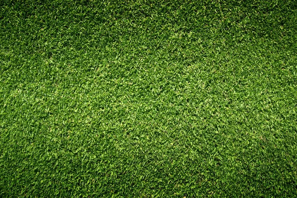 Natureza de grama verde — Fotografia de Stock