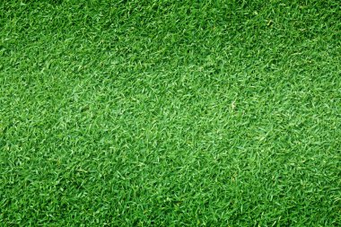 Yeşil çim doğa açık