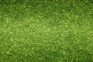 Yeşil çim doğa açık