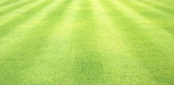 Groen gras natuur buiten — Stockfoto