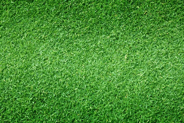 Yeşil çim doğa açık — Stok fotoğraf