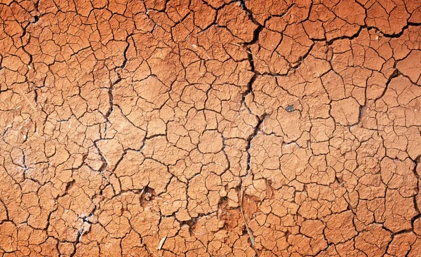 La sécheresse, les fissures du sol — Photo