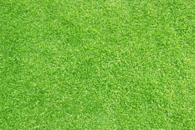 Yeşil çimen arka plan çimen yüzeyi soyut