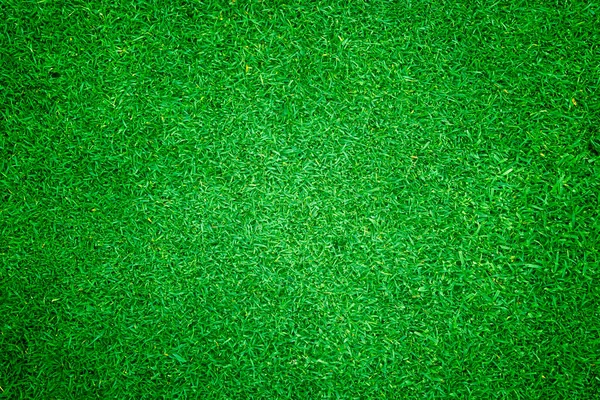 Groen Gras Achtergrond Gras Oppervlak Abstract — Stockfoto