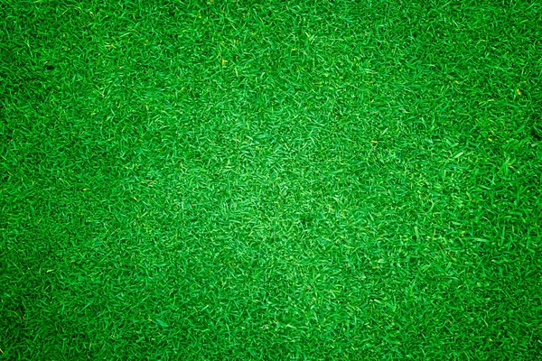 Zelená Tráva Pozadí Trávník Povrch Abstraktní Stock Snímky