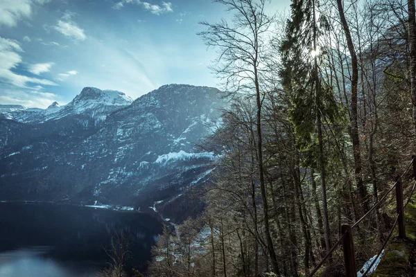 Hiver Enneigé Dans Les Alpes Autrichiennes — Photo