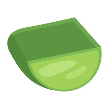 Aloe vera tıbbi bitki kesim yaprağı beyaz arka planda izole edilmiş. Çizgi film tarzı. Herhangi bir tasarım için vektör illüstrasyonu.