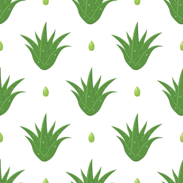 アロエベラ薬用植物カット葉とシームレスなパターンは白い背景に隔離されています 漫画風 任意のデザインのベクトルイラスト — ストックベクタ