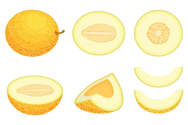 Set Frischer Halber Scheiben Geschnittener Melonenfrüchte Isoliert Auf Weißem Hintergrund — Stockvektor
