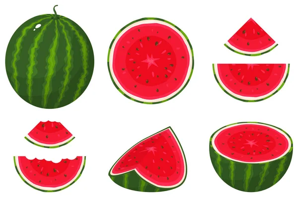 Whole half melon Vector Art Stock Images | Depositphotos