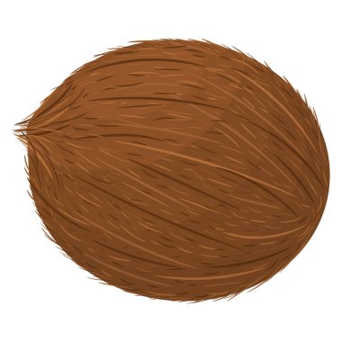 Çizgi film, beyaz arka planda izole edilmiş kahverengi egzotik hindistan cevizi içeriyor. Sağlıklı yaşam için yaz meyveleri. Organik meyve. Çizgi film tarzı. Herhangi bir tasarım için vektör illüstrasyonu.