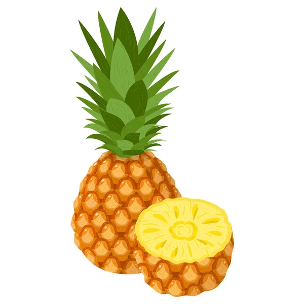 新鲜的 半熟的菠萝果 背景为白色 夏天水果促进健康的生活方式 有机水果 卡通风格 任何设计的矢量说明 — 图库矢量图片