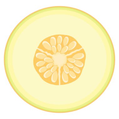 Beyaz arka planda izole edilmiş taze kavun meyvesi. Honeydew kavunu. Sağlıklı yaşam için yaz meyveleri. Organik meyve. Çizgi film tarzı. Herhangi bir tasarım için vektör illüstrasyonu.