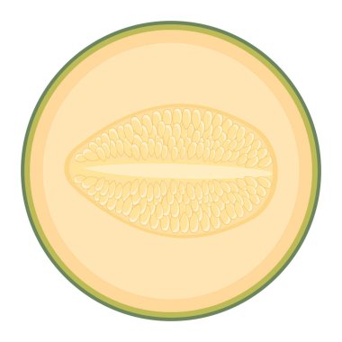 Beyaz arka planda izole edilmiş taze kavun meyvesi. Kavun kavunu. Sağlıklı yaşam için yaz meyveleri. Organik meyve. Çizgi film tarzı. Herhangi bir tasarım için vektör illüstrasyonu.