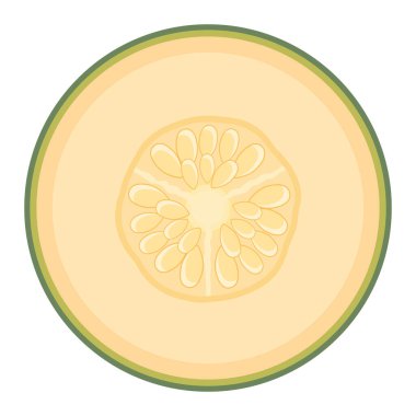 Beyaz arka planda izole edilmiş taze kavun meyvesi. Kavun kavunu. Sağlıklı yaşam için yaz meyveleri. Organik meyve. Çizgi film tarzı. Herhangi bir tasarım için vektör illüstrasyonu.