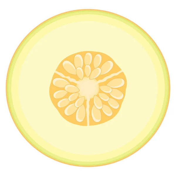 Mezzo Melone Fresco Isolato Fondo Bianco Melone Melata Frutta Estiva — Vettoriale Stock