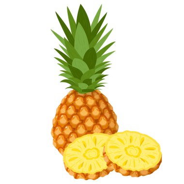 Beyaz arka planda izole edilmiş taze ve kesilmiş halkalar ananas meyvesi. Sağlıklı yaşam için yaz meyveleri. Organik meyve. Çizgi film tarzı. Herhangi bir tasarım için vektör illüstrasyonu.