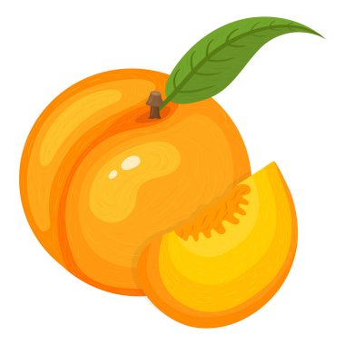 Çizgi film, egzotik bir bütün ve beyaz arka planda izole edilmiş şeftali dilimi içeriyor. Sağlıklı yaşam için yaz meyveleri. Organik meyve. Çizgi film tarzı. Herhangi bir tasarım için vektör illüstrasyonu.