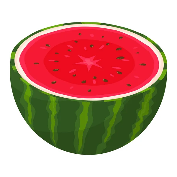 Frische Halbe Wassermelonenfrucht Isoliert Auf Weißem Hintergrund Sommerfrüchte Für Einen — Stockvektor