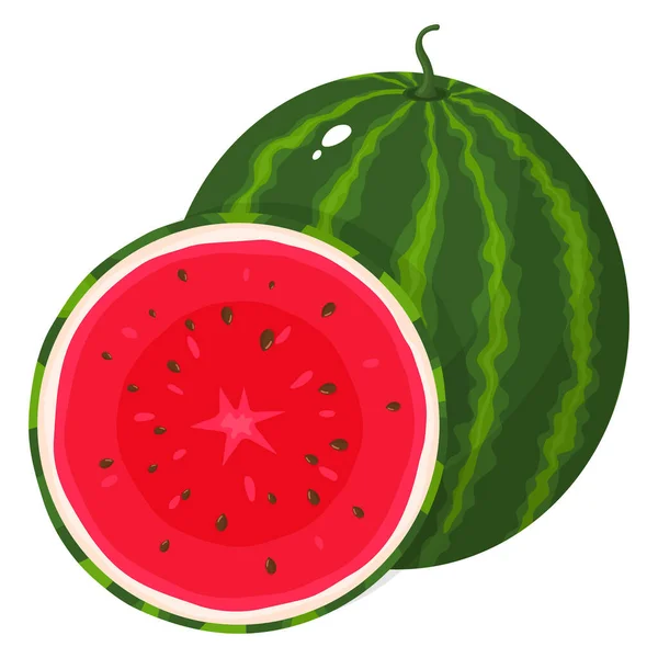 新鲜的 完整的 半熟的西瓜果实 在白色的背景上被分离出来 夏天水果促进健康的生活方式 有机水果 卡通风格 任何设计的矢量说明 — 图库矢量图片